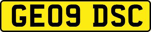 GE09DSC