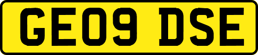 GE09DSE