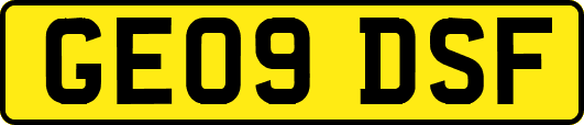 GE09DSF