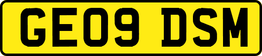 GE09DSM