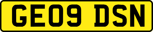 GE09DSN