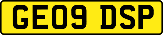 GE09DSP