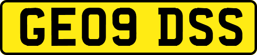 GE09DSS