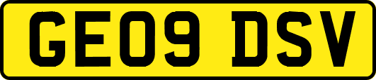 GE09DSV