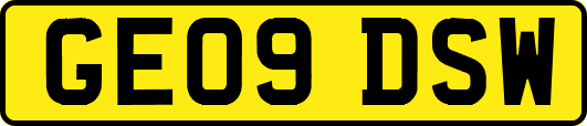 GE09DSW