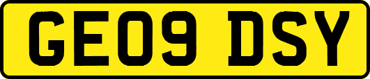 GE09DSY