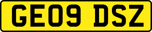 GE09DSZ