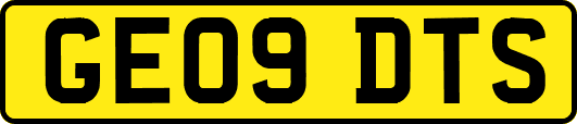 GE09DTS
