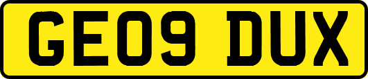 GE09DUX