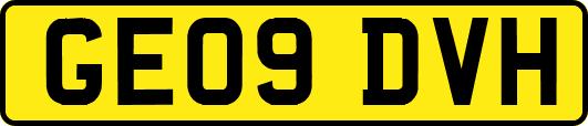 GE09DVH