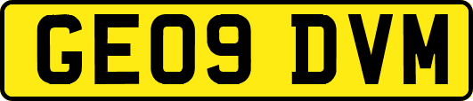GE09DVM