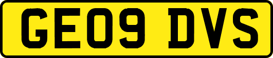 GE09DVS