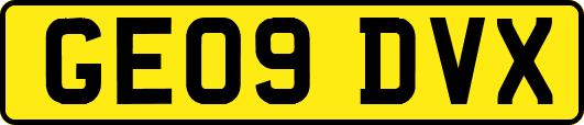 GE09DVX