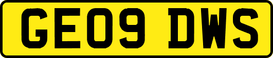GE09DWS