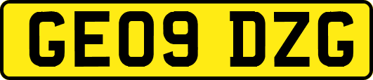 GE09DZG