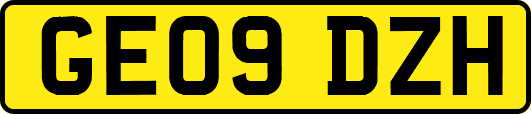 GE09DZH