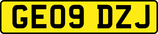 GE09DZJ