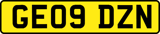GE09DZN