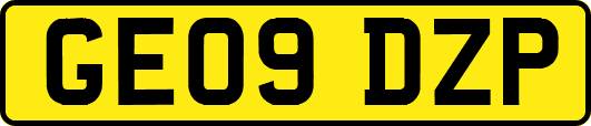 GE09DZP