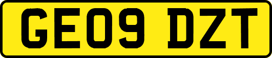 GE09DZT