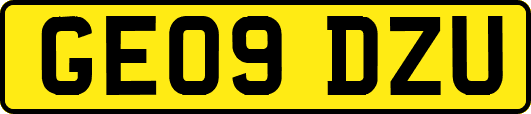GE09DZU
