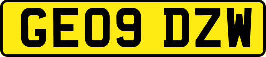 GE09DZW