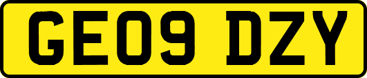 GE09DZY