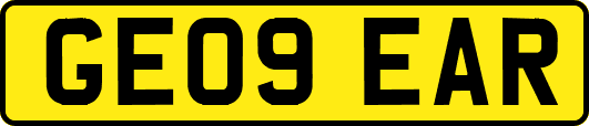 GE09EAR