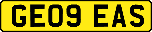 GE09EAS