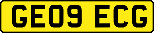 GE09ECG