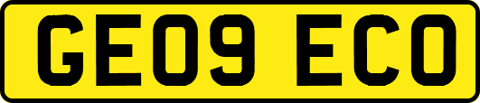 GE09ECO