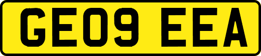 GE09EEA
