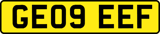 GE09EEF