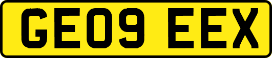 GE09EEX