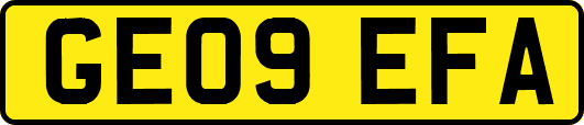 GE09EFA