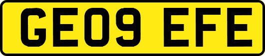 GE09EFE