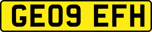 GE09EFH