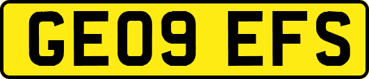 GE09EFS