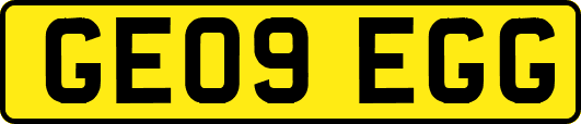 GE09EGG