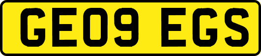 GE09EGS