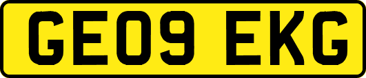 GE09EKG