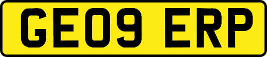GE09ERP
