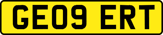 GE09ERT