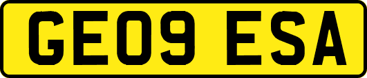 GE09ESA