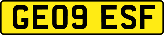 GE09ESF