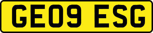 GE09ESG