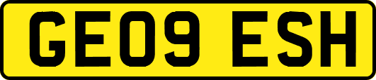GE09ESH