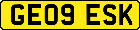 GE09ESK