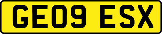 GE09ESX