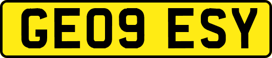 GE09ESY